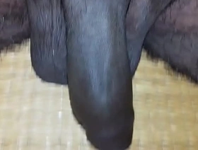 Mayanmandev xvideos indian nude video - 89 korean gay porn jerk off