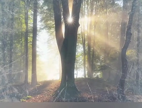 quand le chat a décidé de regarder la télévision japan gay porn teacher