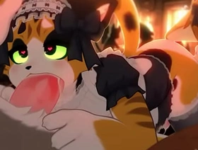 Calico cat gives out a bj to customer seegasm korean uncaring porn