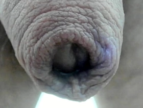 My foreskin superclose :) korean gay sex porn hub