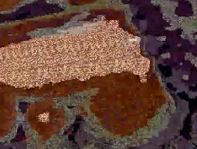 Dick videotape hot student happy-go-lucky porn