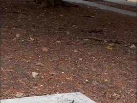 Chica casa de los abuelos hot porn gay muscle