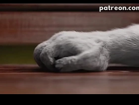 iSal 3d park china happy-go-lucky porn star