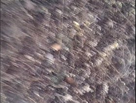 Punheta em público japan bear gay porn