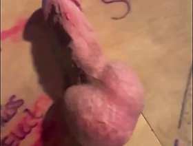 Vicious Bop Stompinh POV indian gay porn hot videos