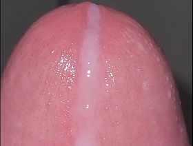 Gozando singapore gay porn star